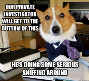 Investigate