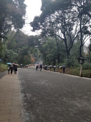 Meiji Jingu 2