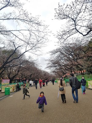 Ueno Park