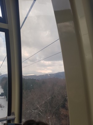 mt fuji view