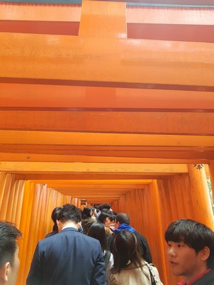 Fushimi Inari-taisha 5