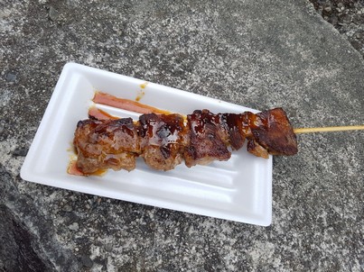 beef stick thing