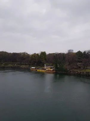 Osaka Castle 5
