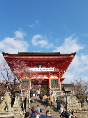 Kiyomizu-dera 
