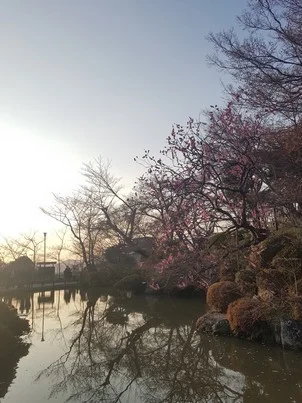 Kiyomizu-dera pond