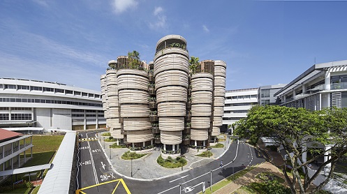 Ntu