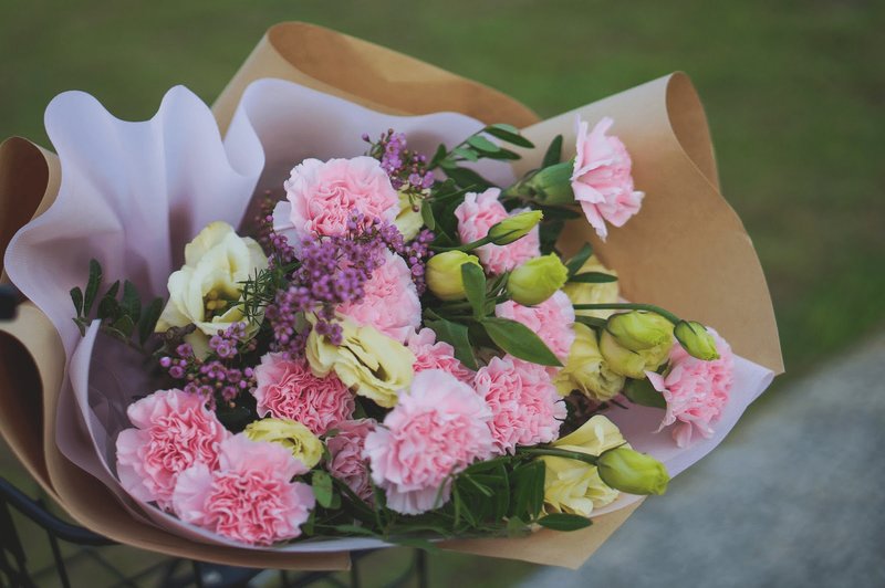 valentines-pink-carnations