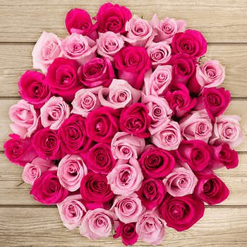 valentines-pink-roses