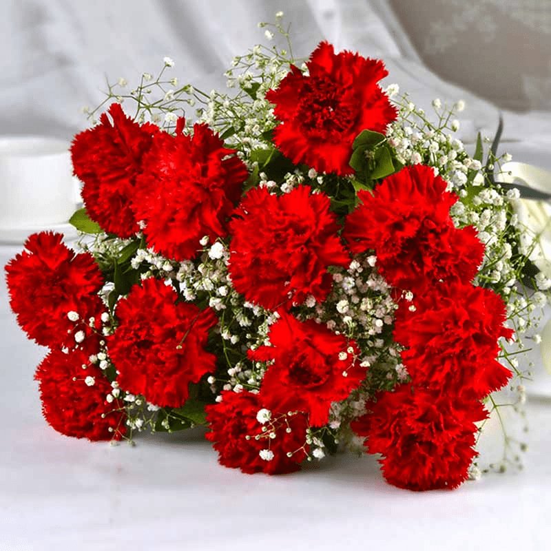 valentines-red-carnations