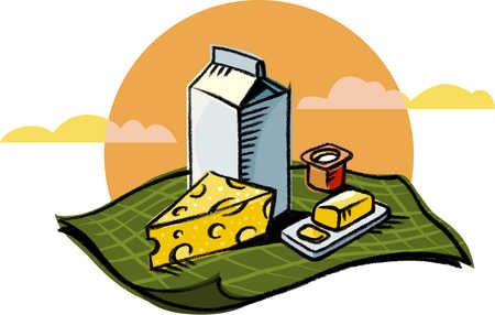 Dairy products milk cheese bread
