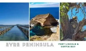 Eyre peninsula port lincoln coffin bay cover image