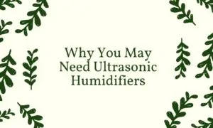 Why you may need ultrasonic humidifier cover image