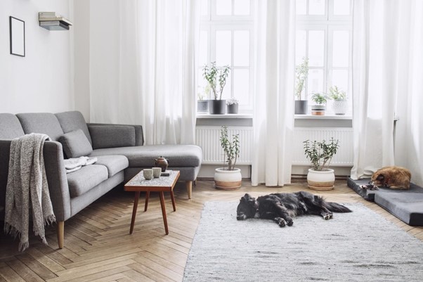 5 Scandinavian Interior Design Tips to Bring Home the Nordic Aesthetics