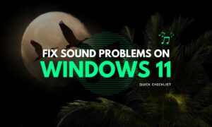 Checklist Fix No Sound Windows 11