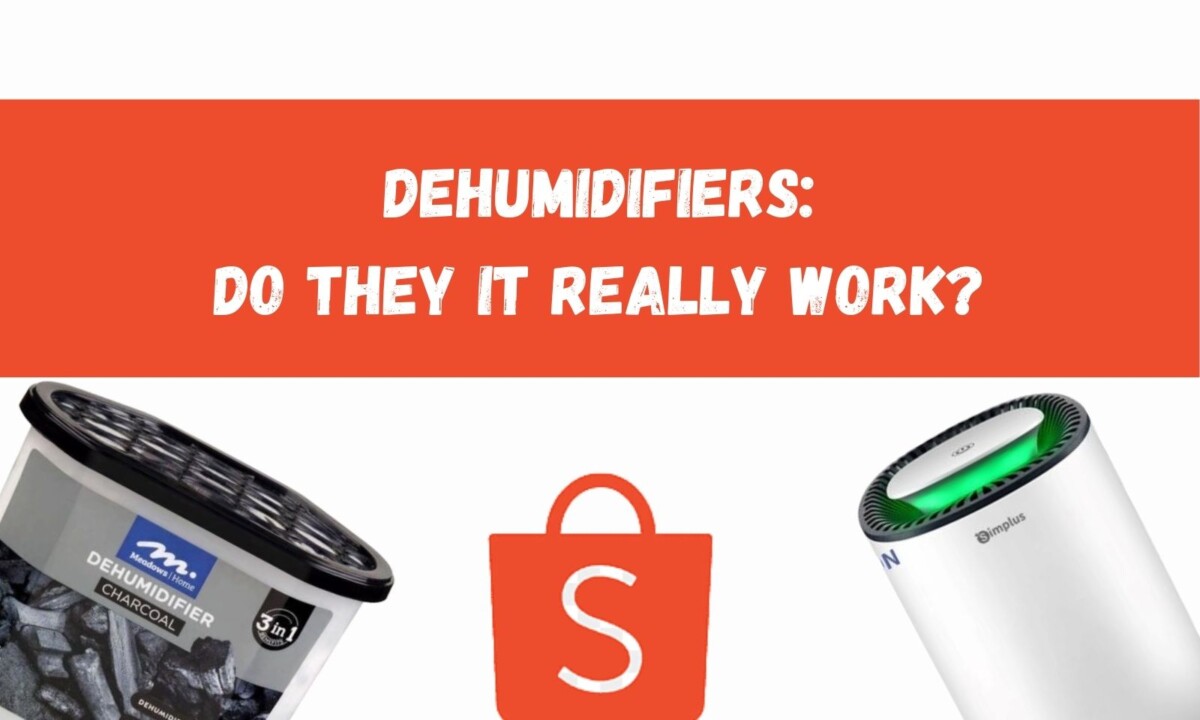 Dehumidifiers: Do They It Really work?