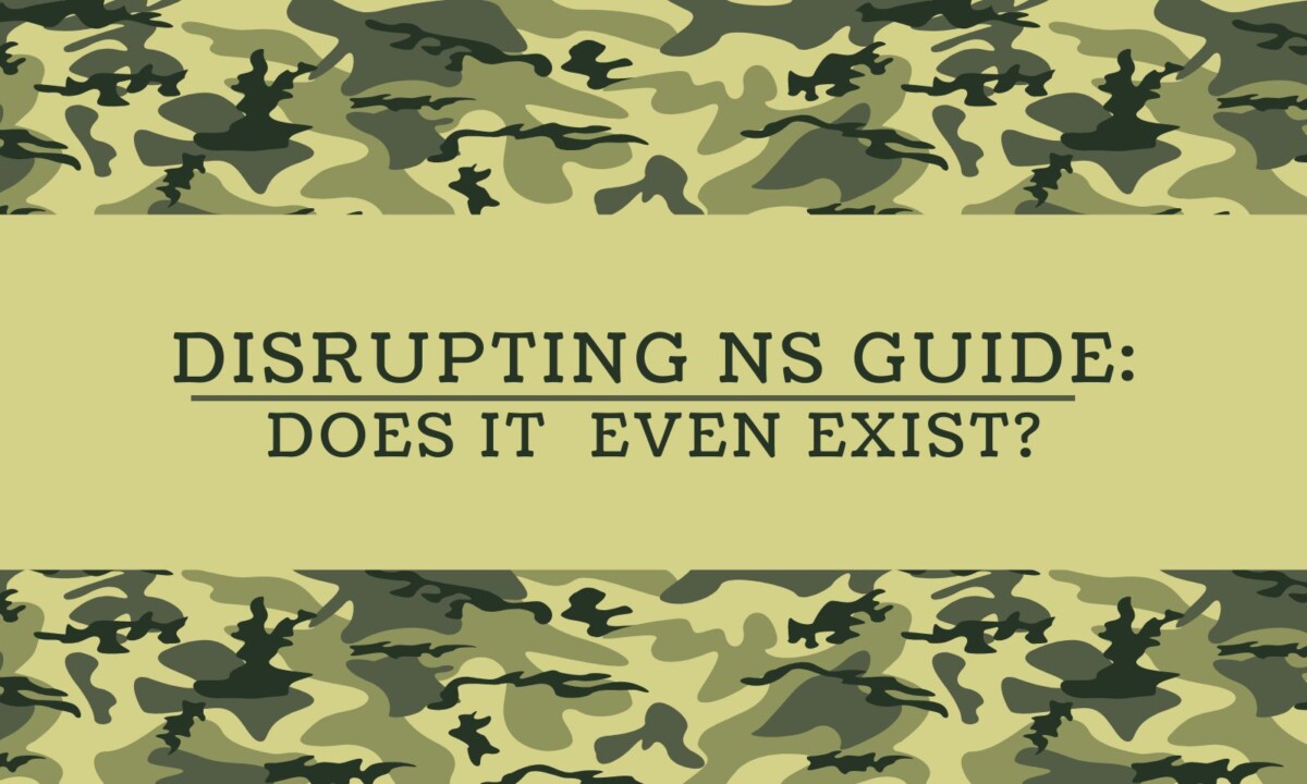 Disrupting NS Guide: Does It Even Exist?