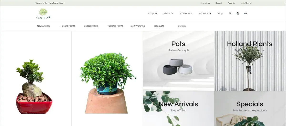 PNG PLANTSG