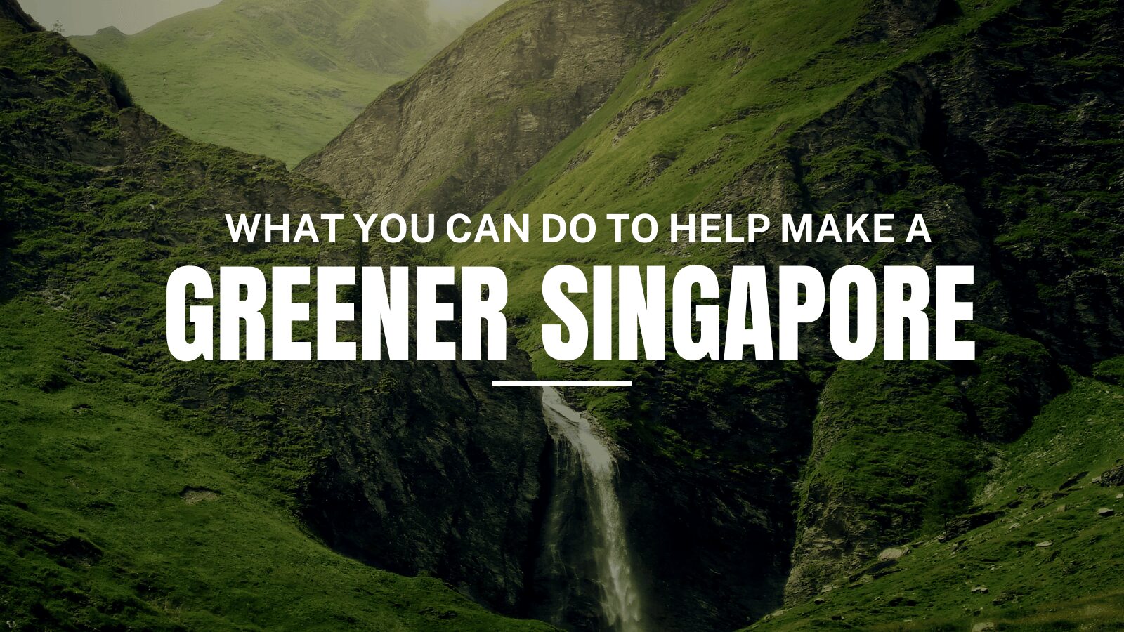 What you can do to help make a greener singapore