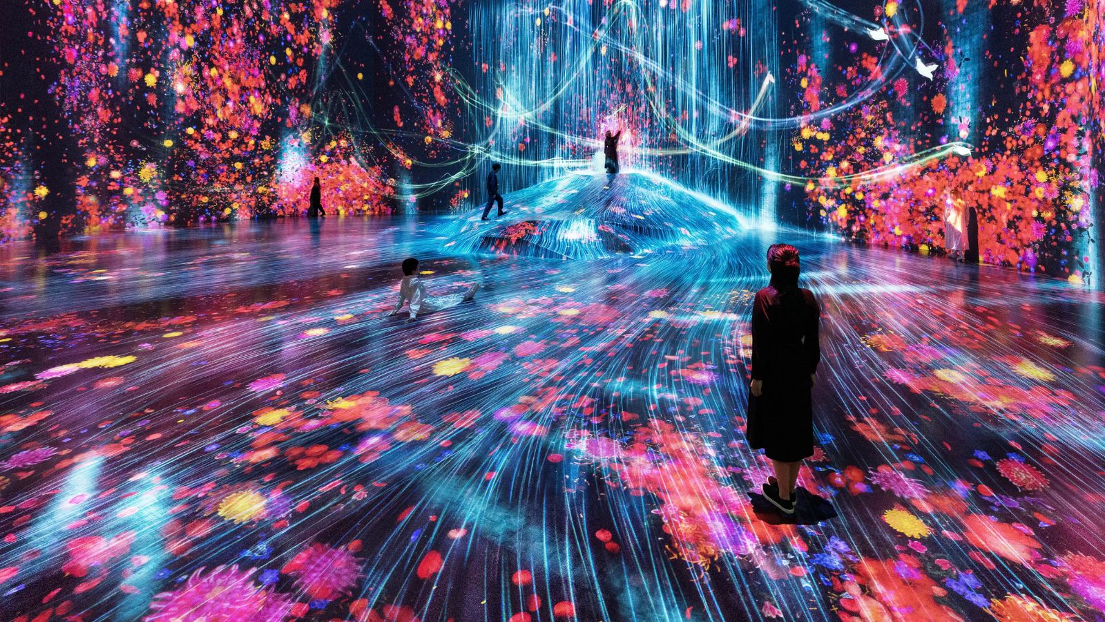 Team Lab Planet
